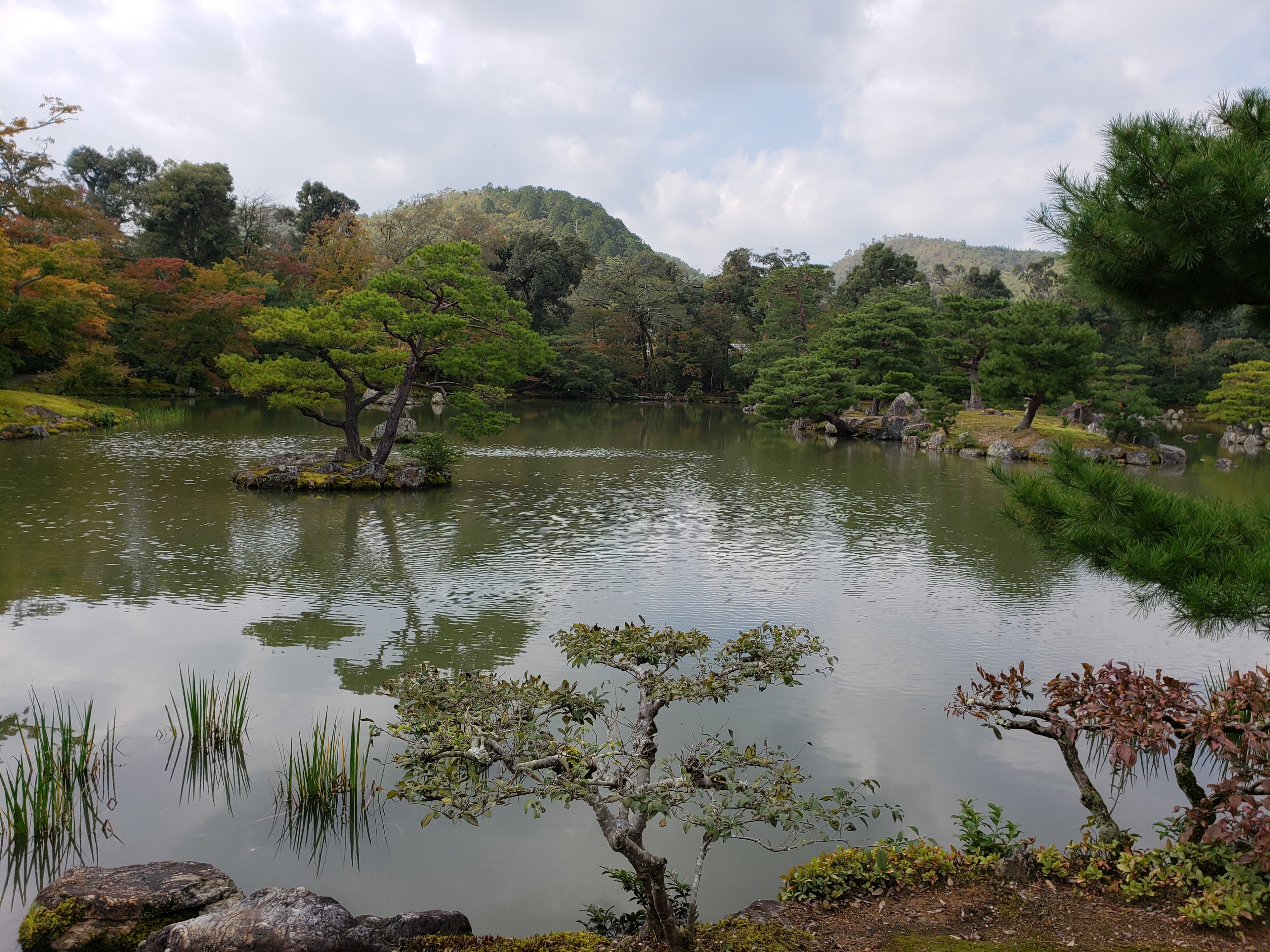 Garden pond with small islands covered in trees and stones